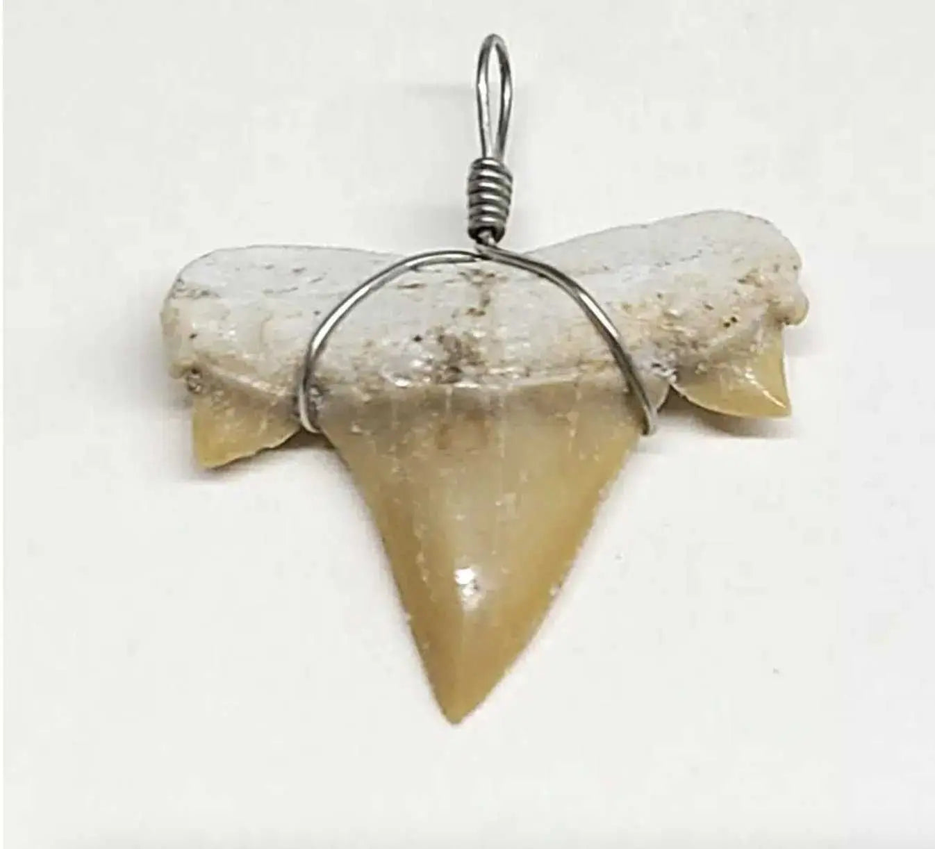 Shark Tooth Necklace | Jewelry | Wiccan Center