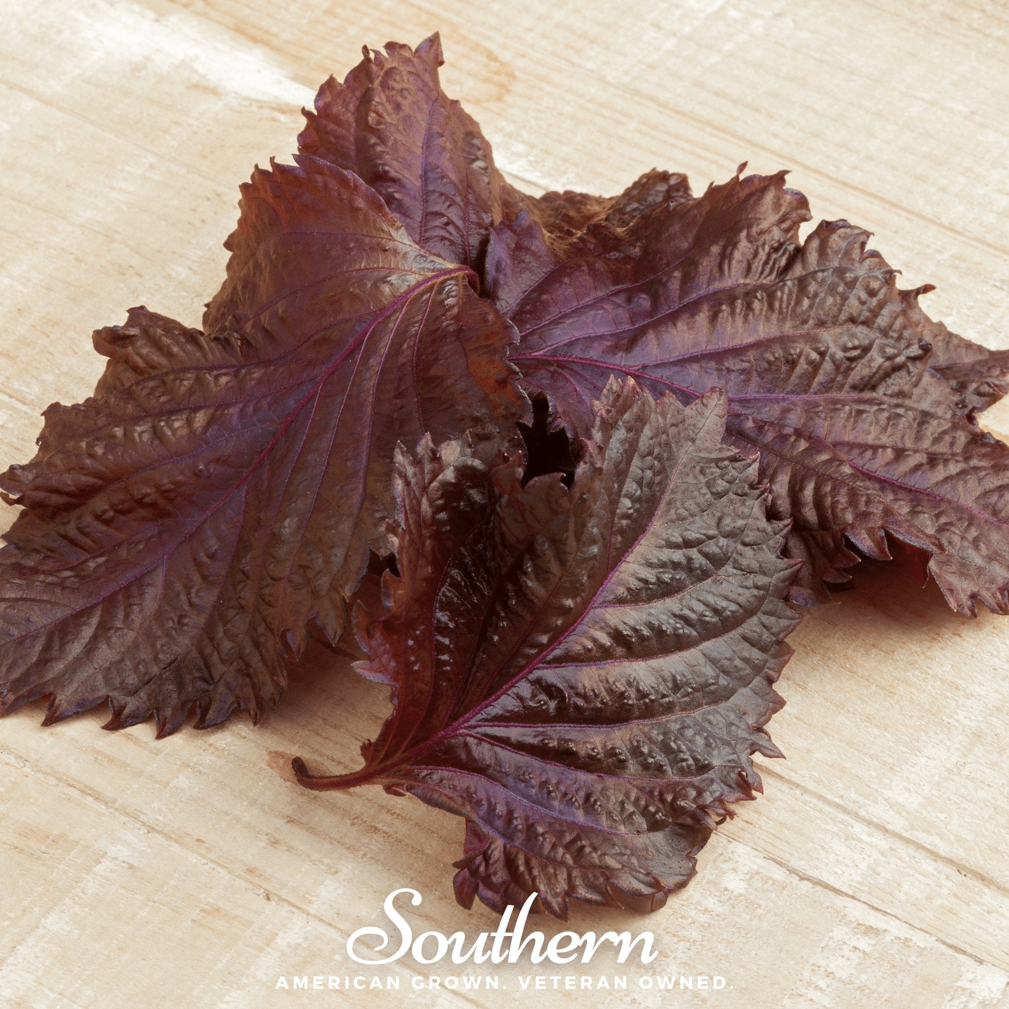 Red Shiso – 200 Seeds | | Wiccan Center