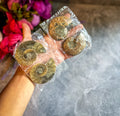 Small Polished Ammonite Pairs, Ethically Sourced Ammonite Halves | | Wiccan Center
