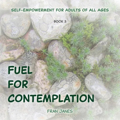 Fuel for Contemplation - Paperback | Books | Wiccan Center