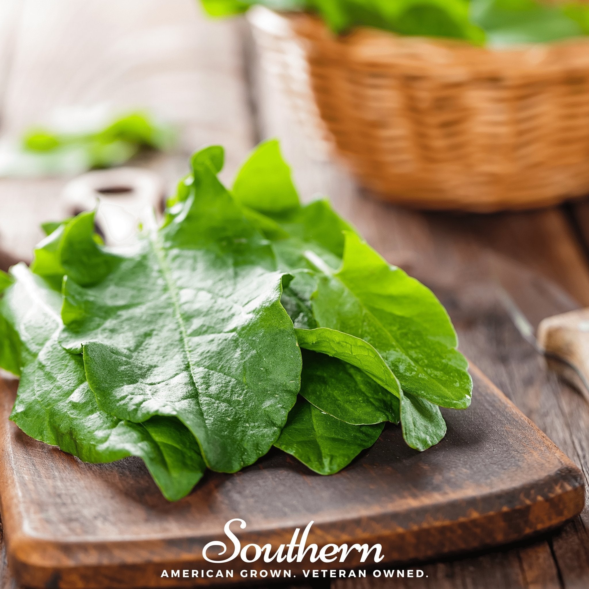 Garden Sorrel – 200 Seeds | | Wiccan Center