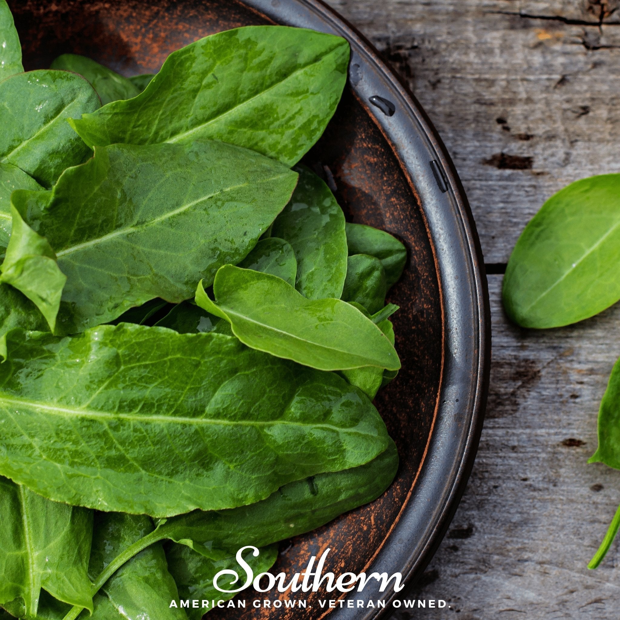 Garden Sorrel – 200 Seeds | | Wiccan Center