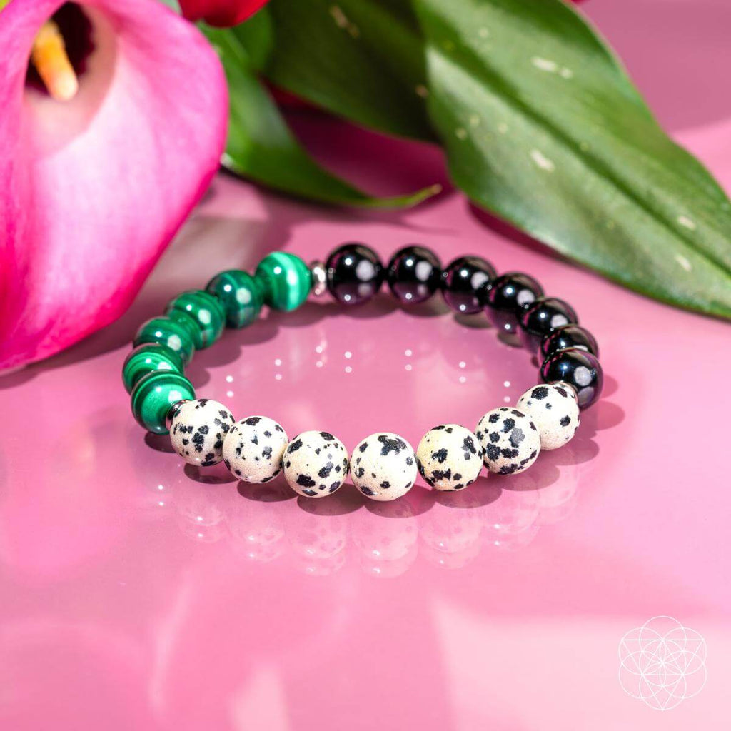 Soul Reset: Dalmatian Jasper Bracelet of Healing | Bracelet | Wiccan Center