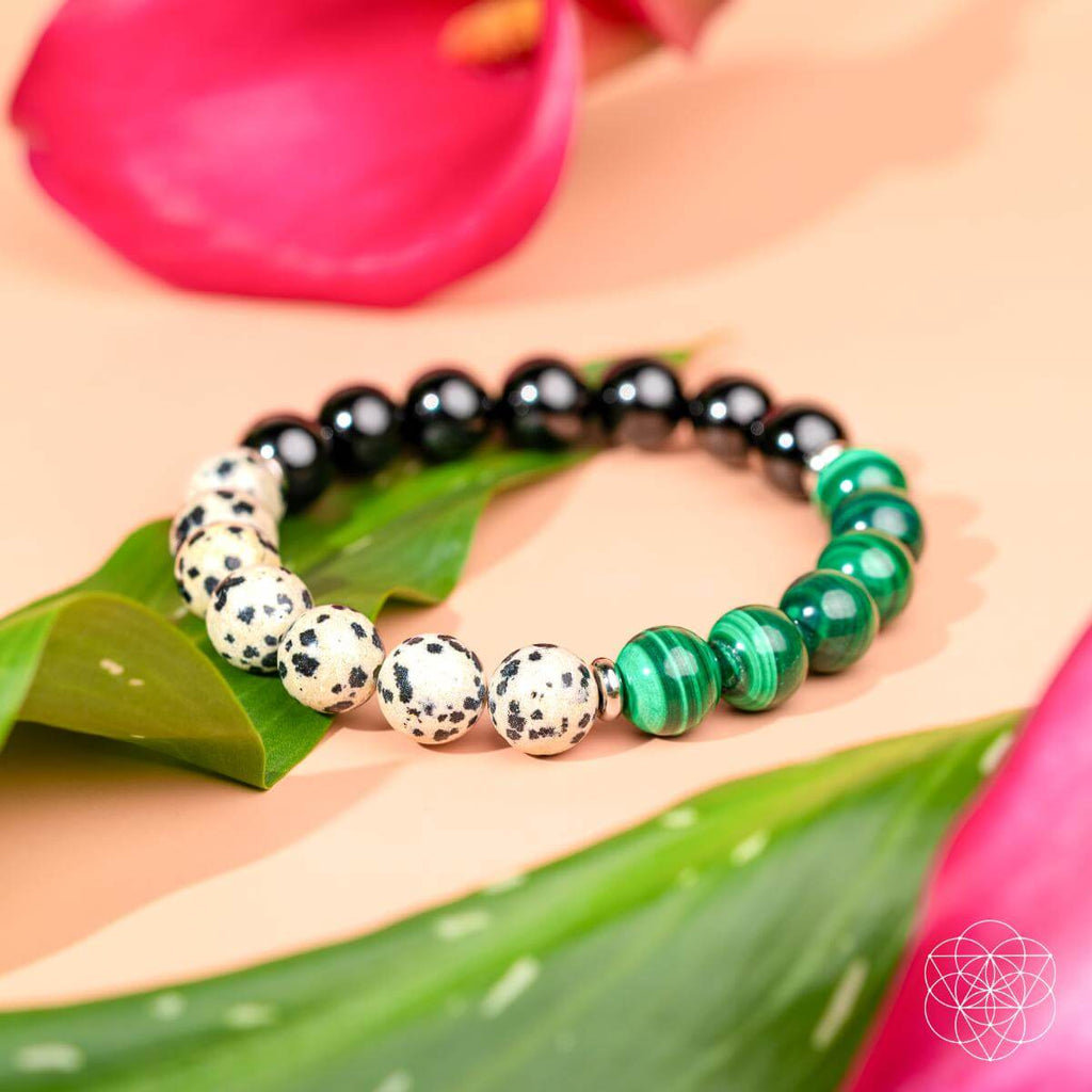 Soul Reset: Dalmatian Jasper Bracelet of Healing | Bracelet | Wiccan Center