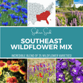Southeast Wildflower Seed Mix (24 Varieties) – 1,000 Seeds | Seeds | Wiccan Center