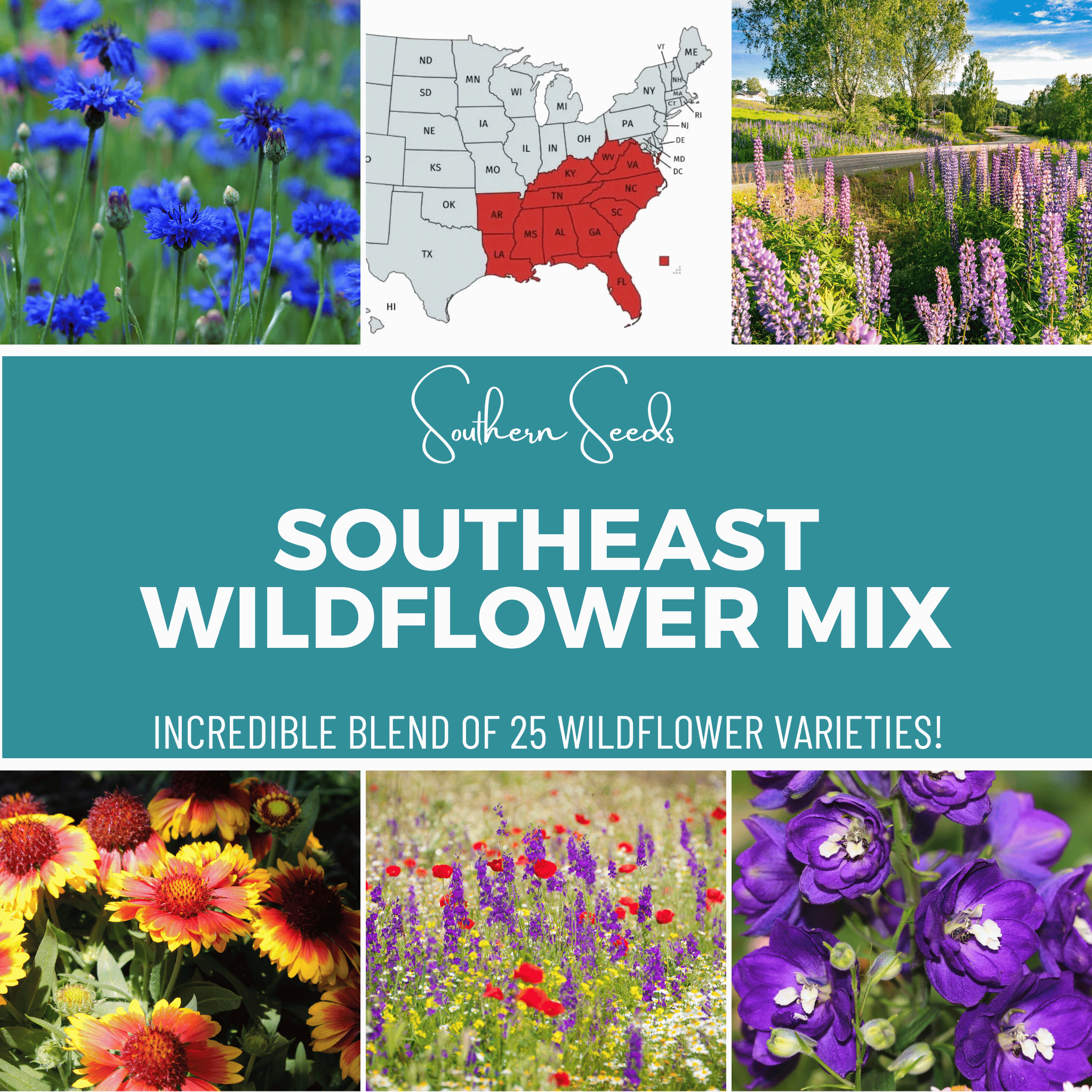 Southeast Wildflower Seed Mix (24 Varieties) – 1,000 Seeds | Seeds | Wiccan Center
