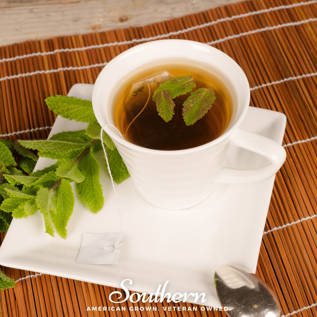 Spearmint – 200 Seeds | | Wiccan Center
