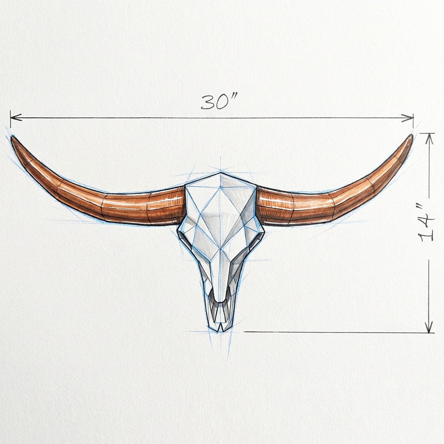 Low Poly Steer Horns and Skull | Bull Horns | Wiccan Center