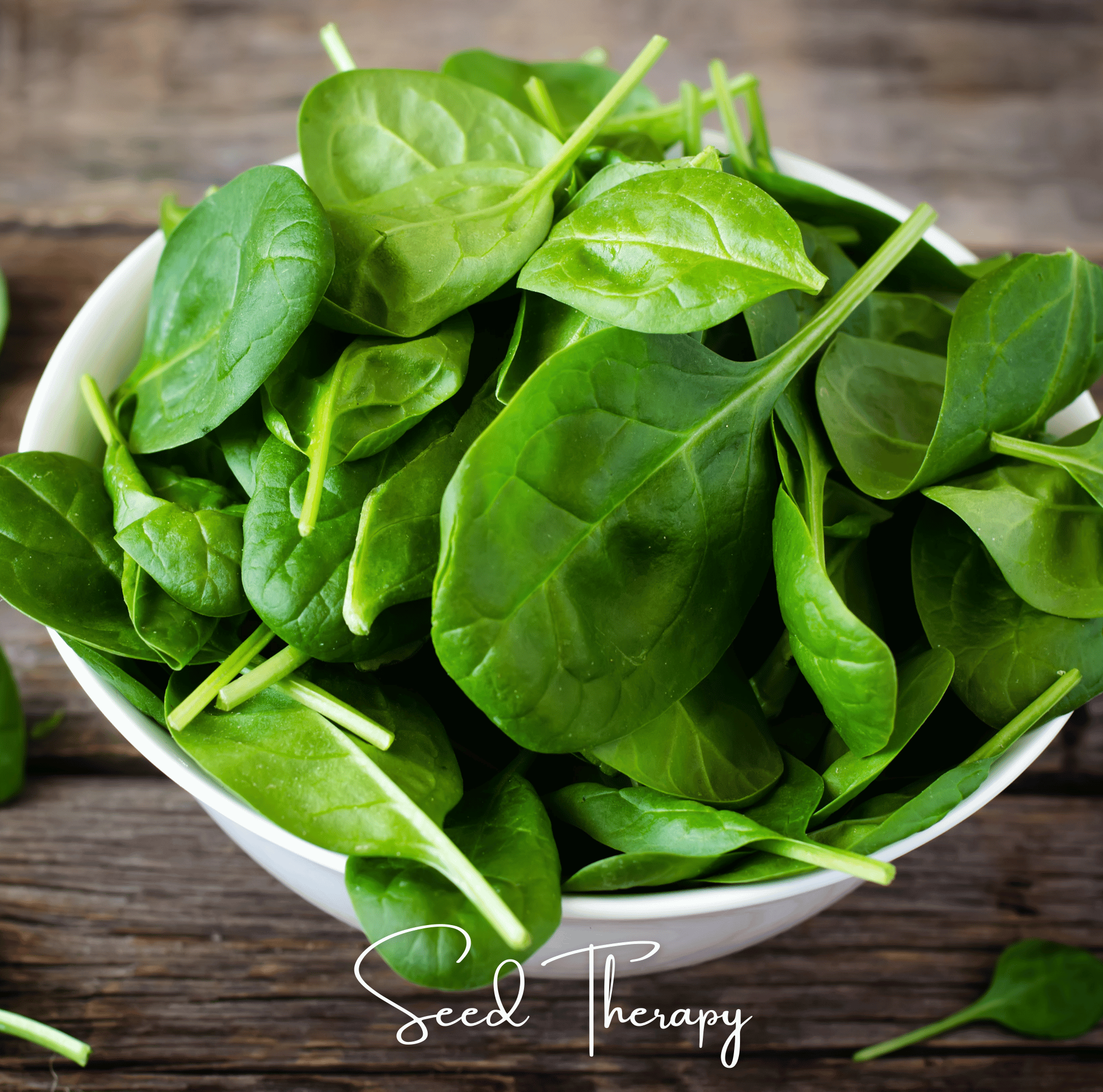 Bloomsdale Spinach – 150 Seeds | | Wiccan Center