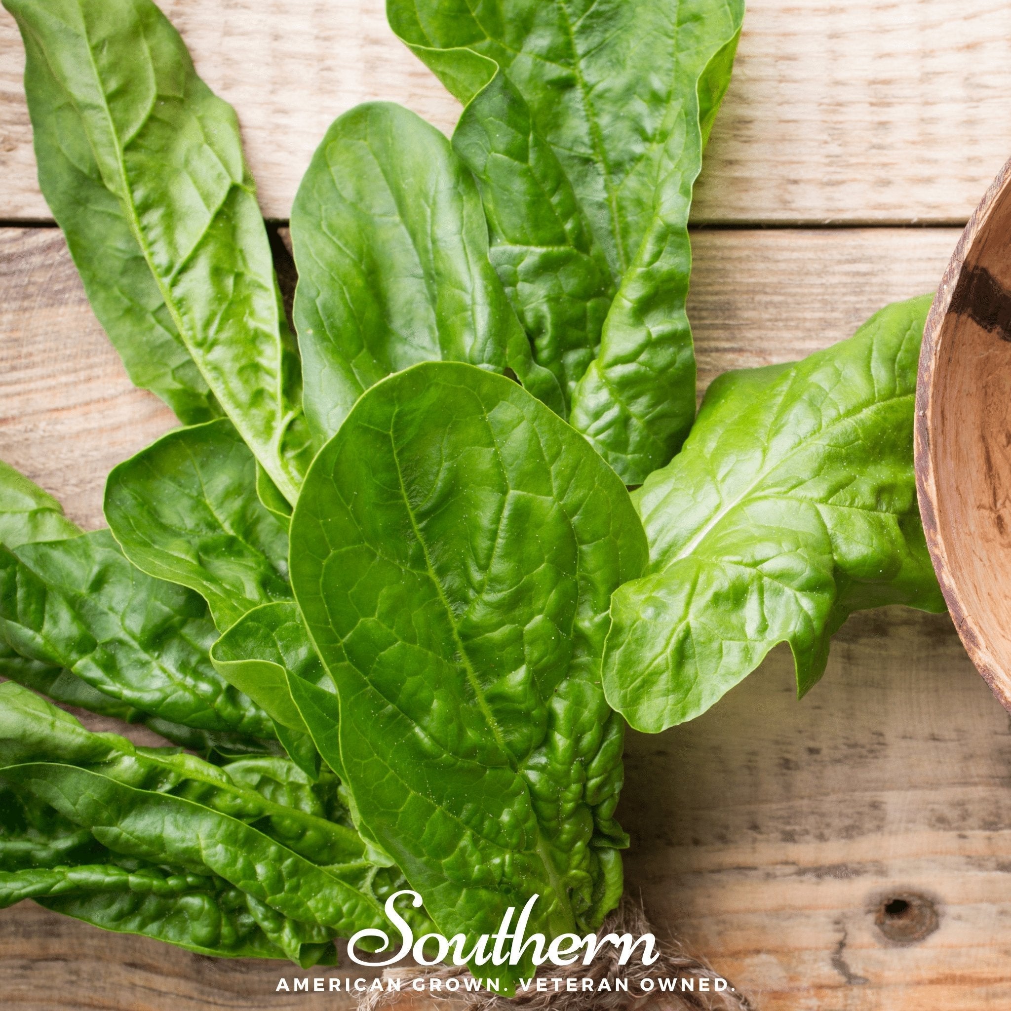 Giant Noble Spinach – 150 Seeds | Seeds | Wiccan Center