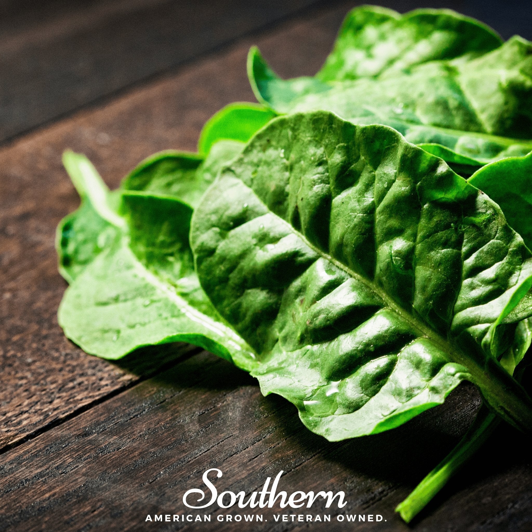 Giant Noble Spinach – 150 Seeds | Seeds | Wiccan Center