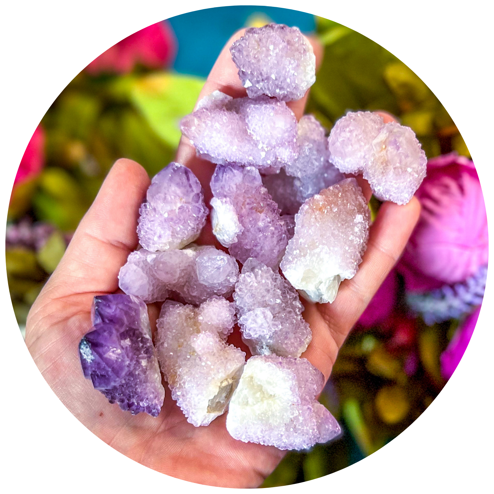 Ethically Sourced Spirit Amethyst Quartz Clusters, Cactus Quartz | | Wiccan Center