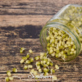 Mung Beans Sprout – 500 Seeds | | Wiccan Center