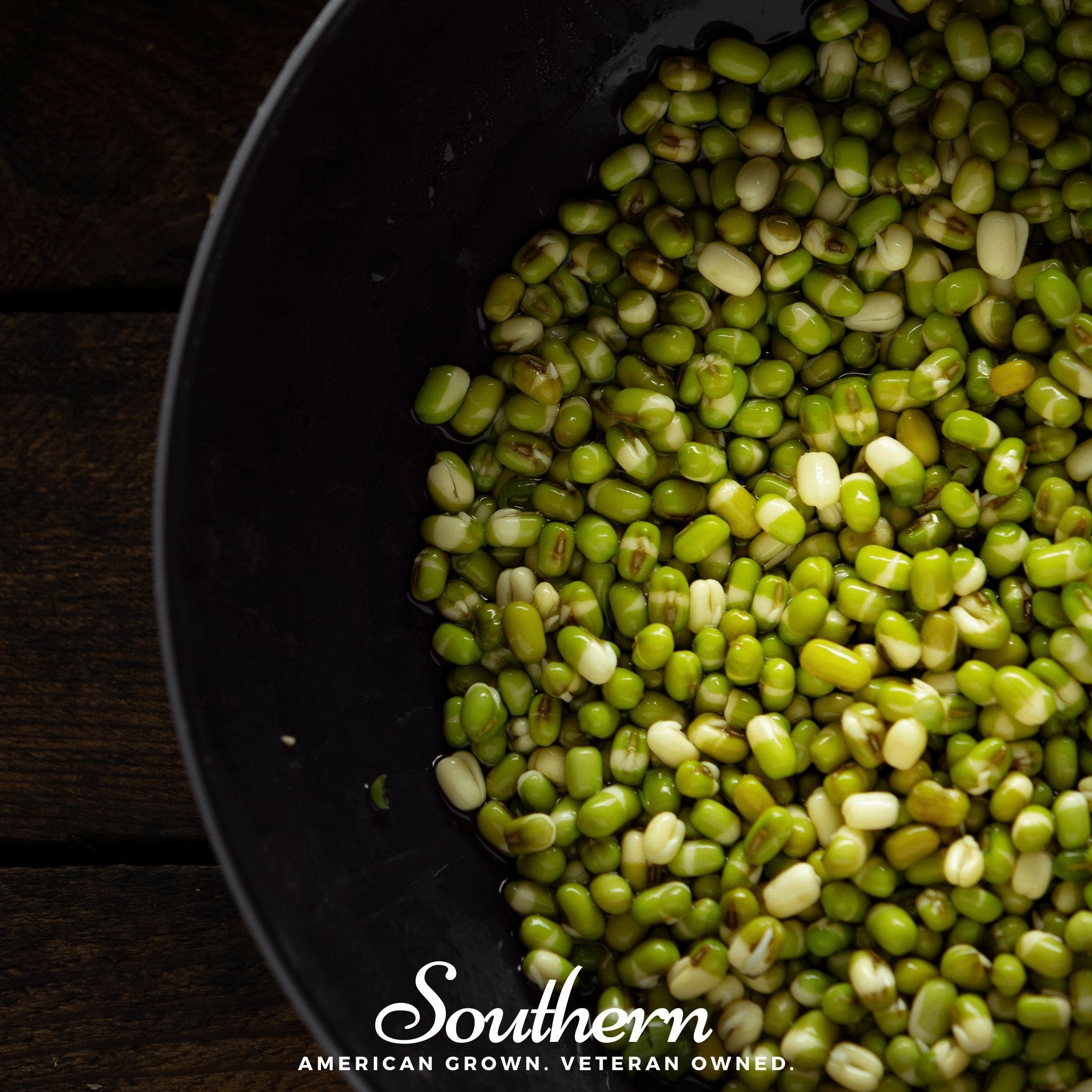 Mung Beans Sprout – 500 Seeds | | Wiccan Center