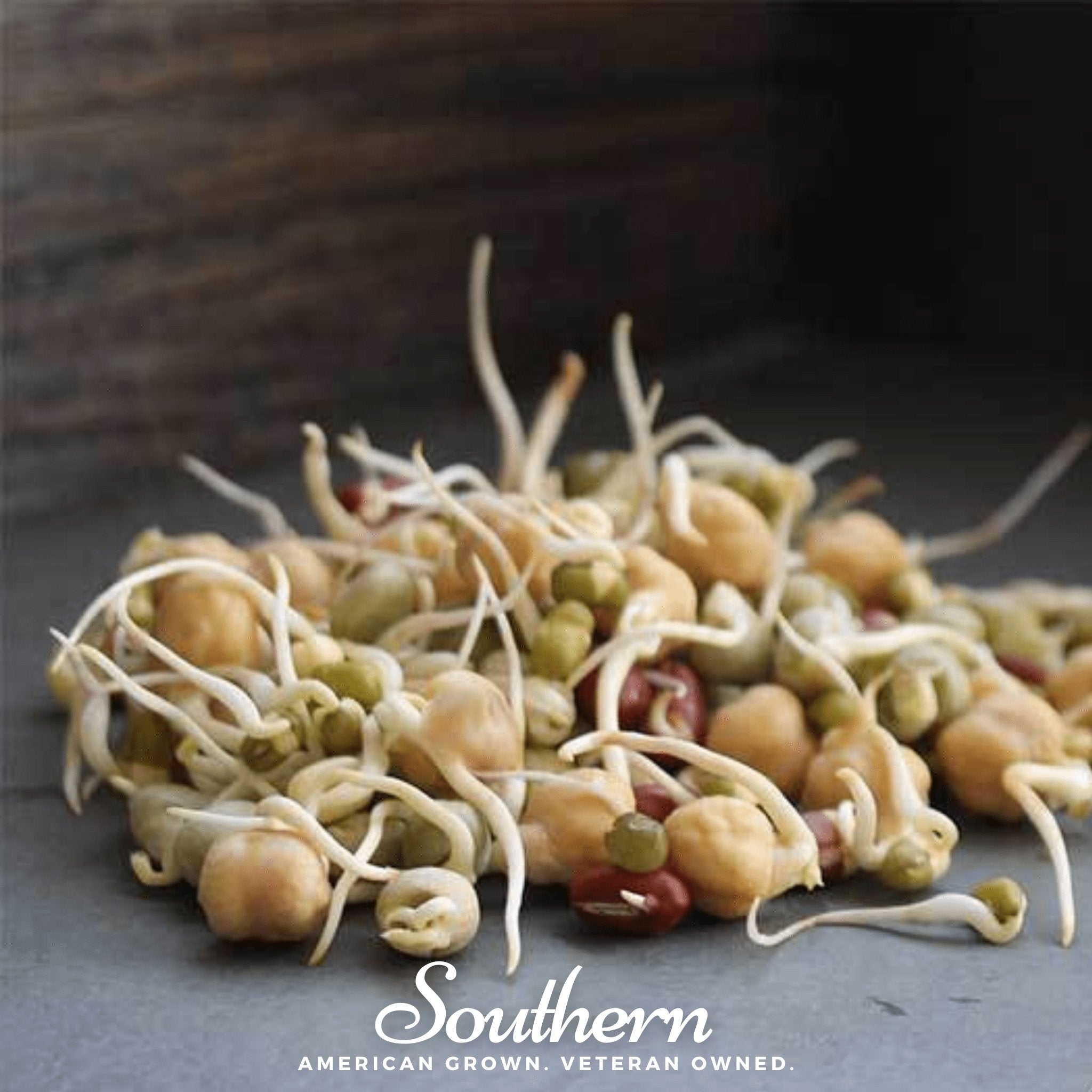 Protein Mix Sprout – 1 ounce | Seeds | Wiccan Center