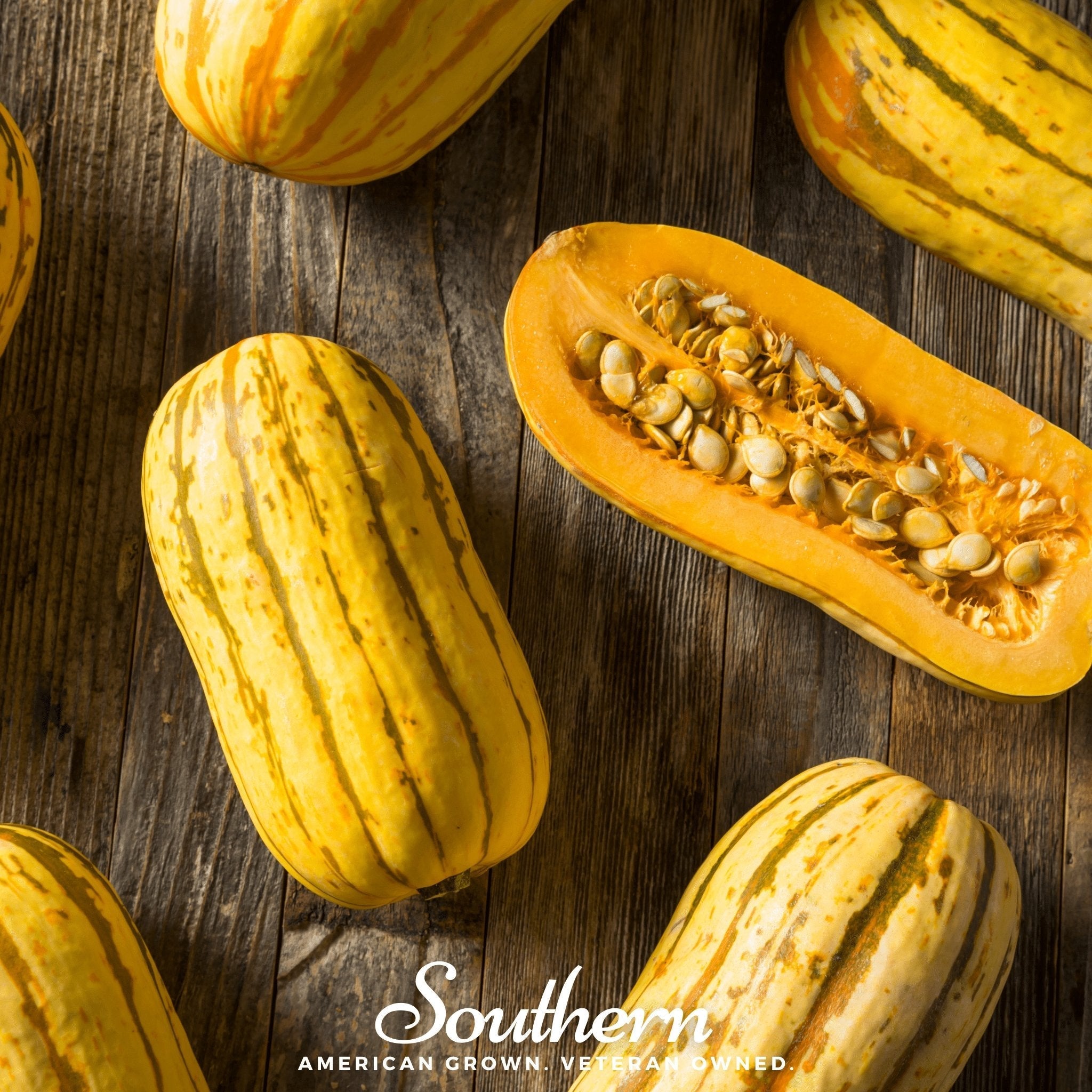 Delicata Squash – 20 Seeds | Seeds | Wiccan Center