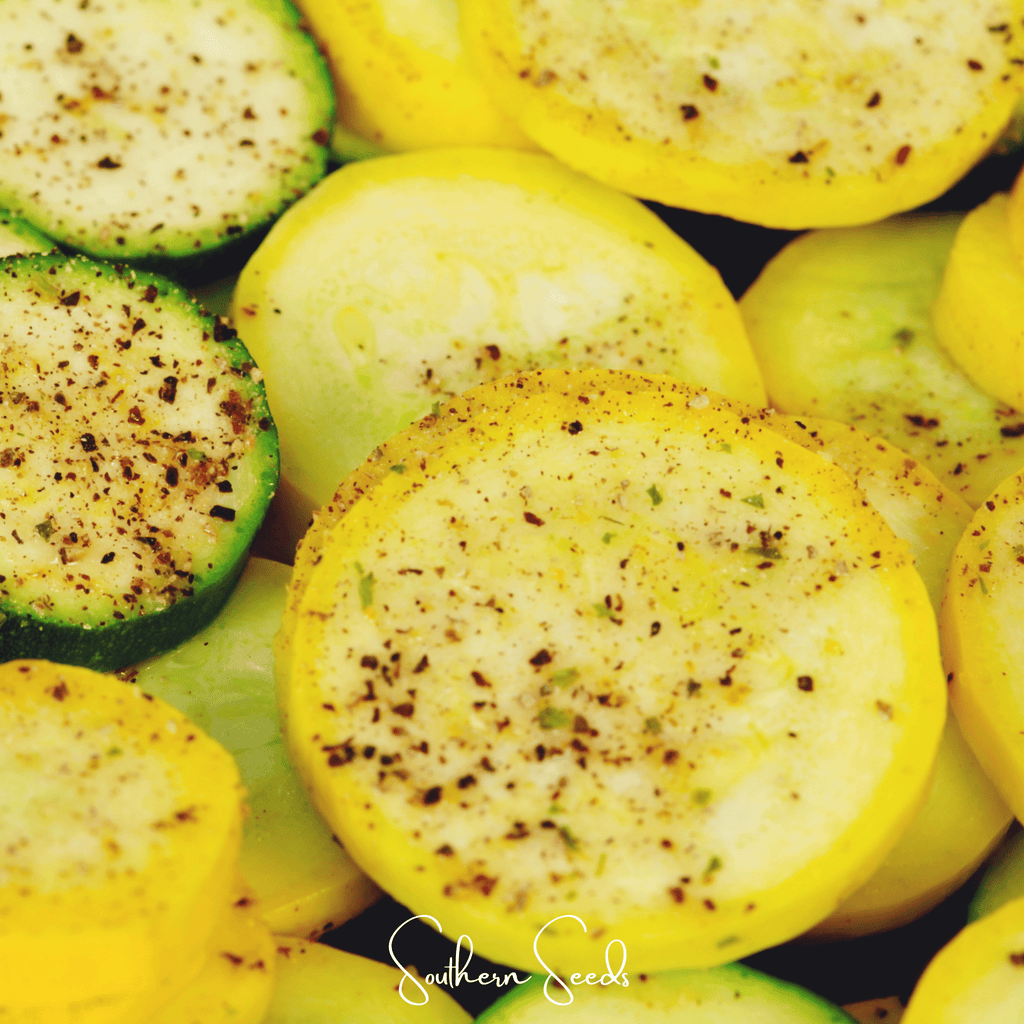 Early Prolific Straightneck Squash – 25 Seeds | Seeds | Wiccan Center