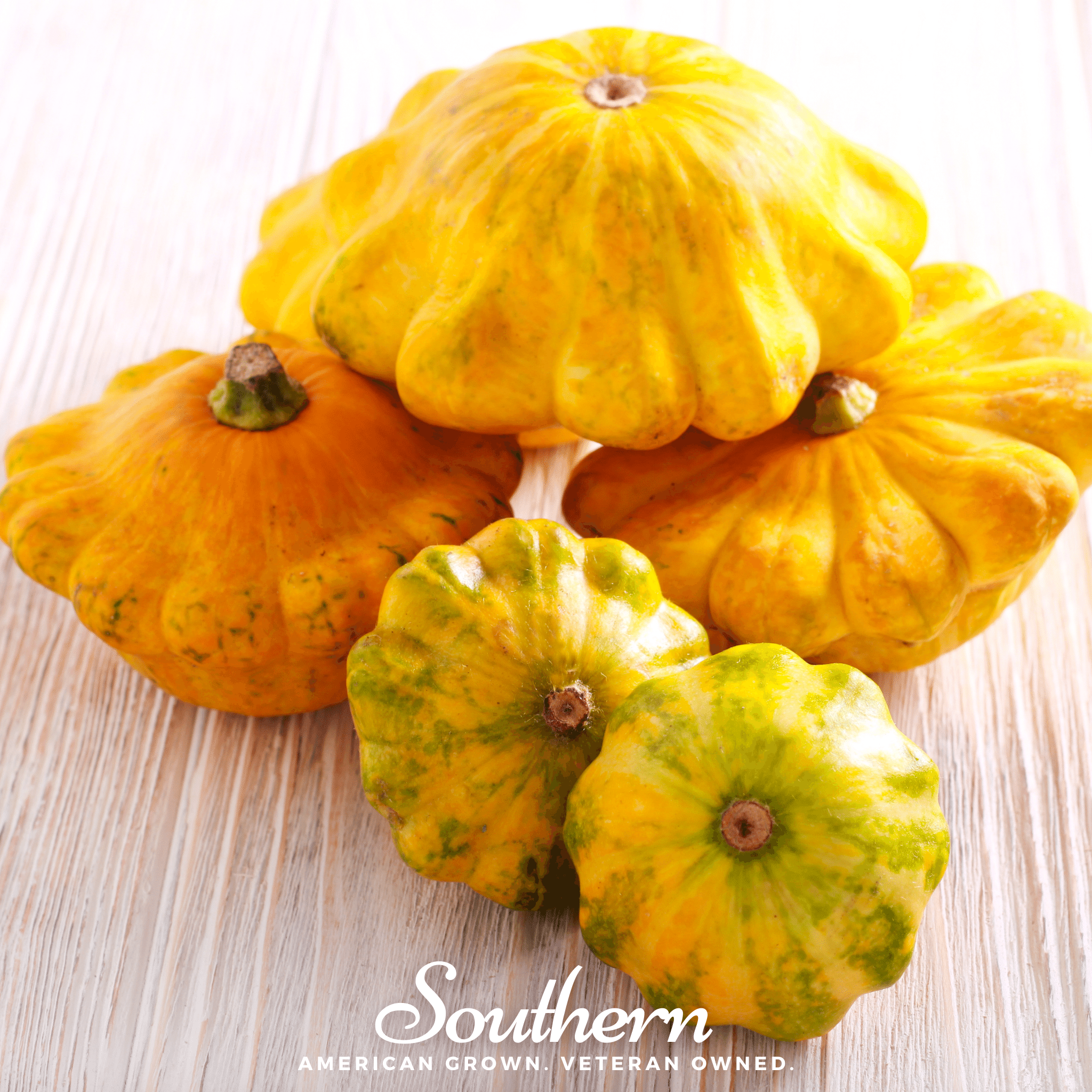 Scallop Yellow Bush Summer Squash – 25 Seeds | | Wiccan Center