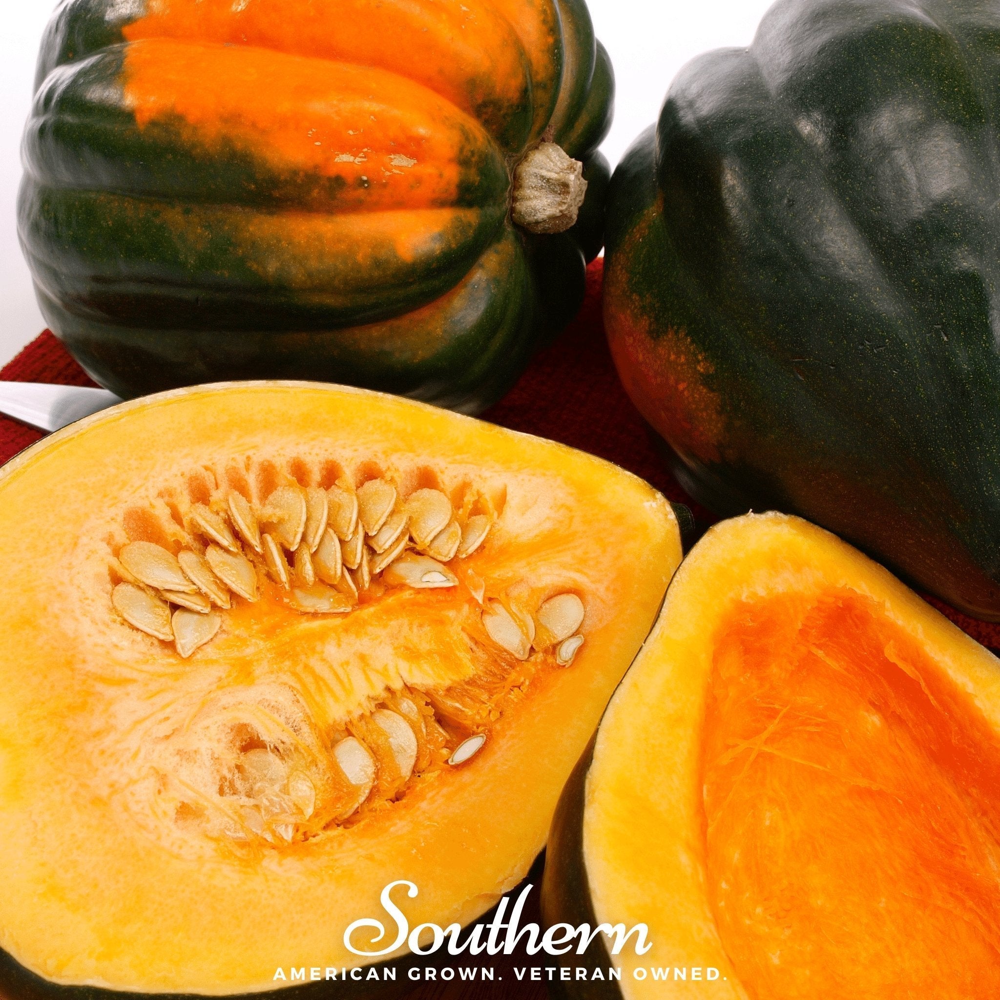 Table Queen Acorn Winter Squash – 25 Seeds | | Wiccan Center