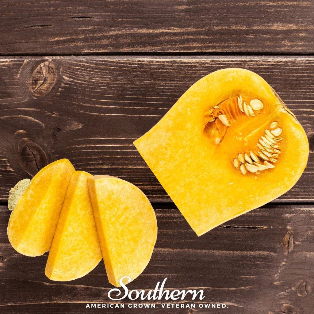 Waltham Butternut Winter Squash – 25 Seeds | Seeds | Wiccan Center