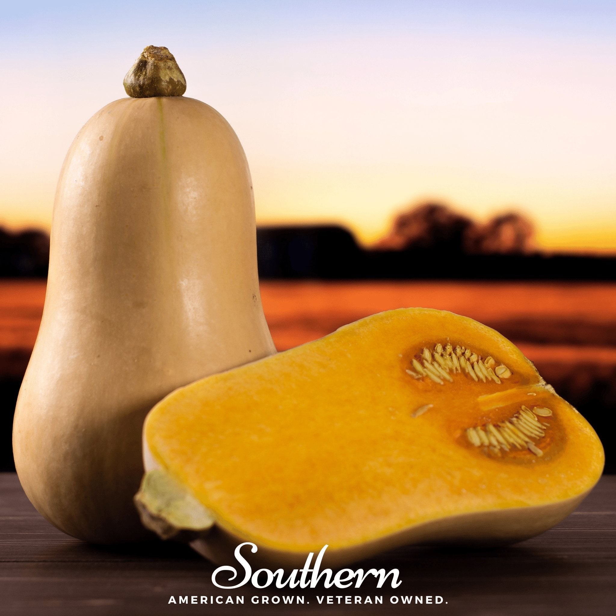 Waltham Butternut Winter Squash – 25 Seeds | Seeds | Wiccan Center