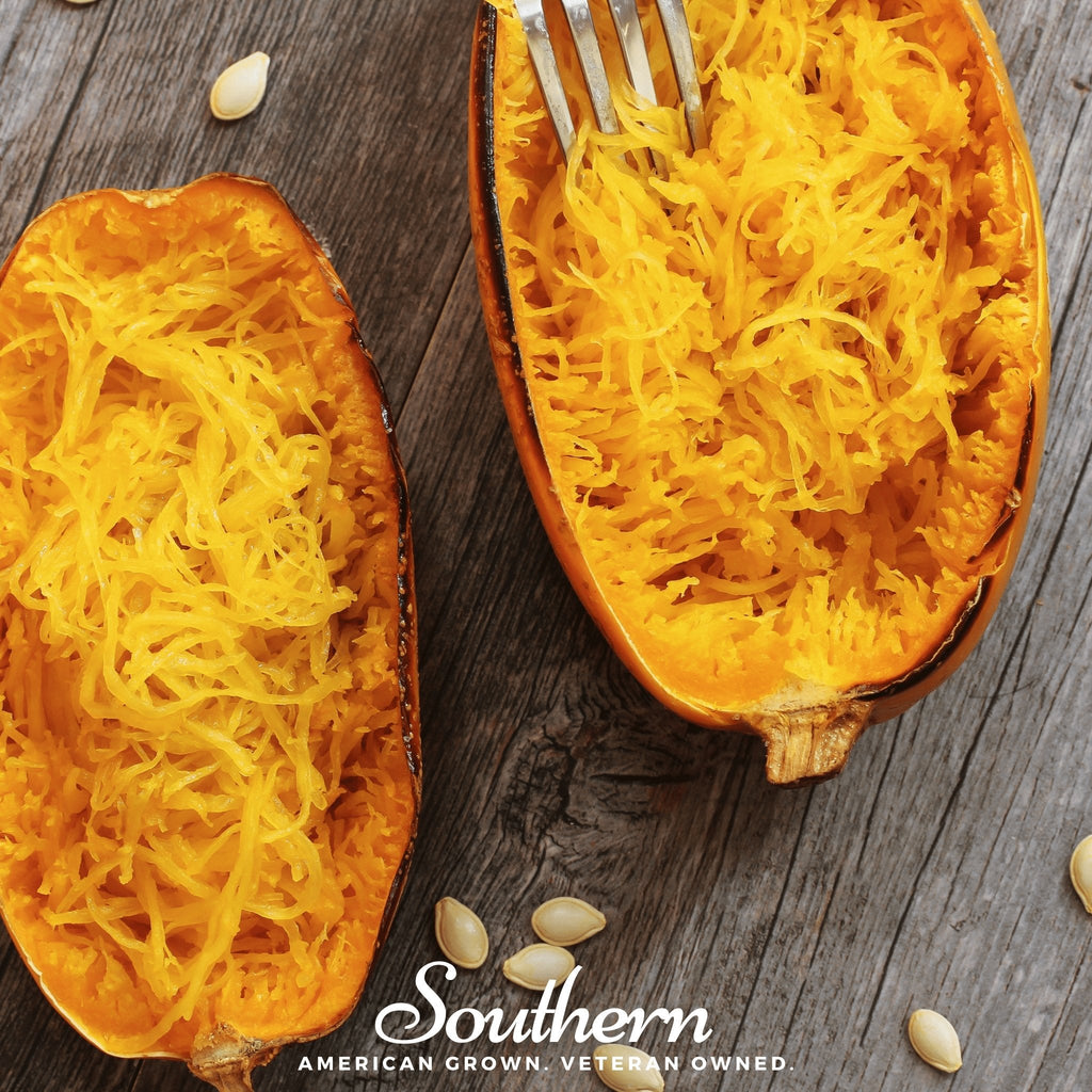 Spaghetti Winter Squash – 20 Seeds | | Wiccan Center