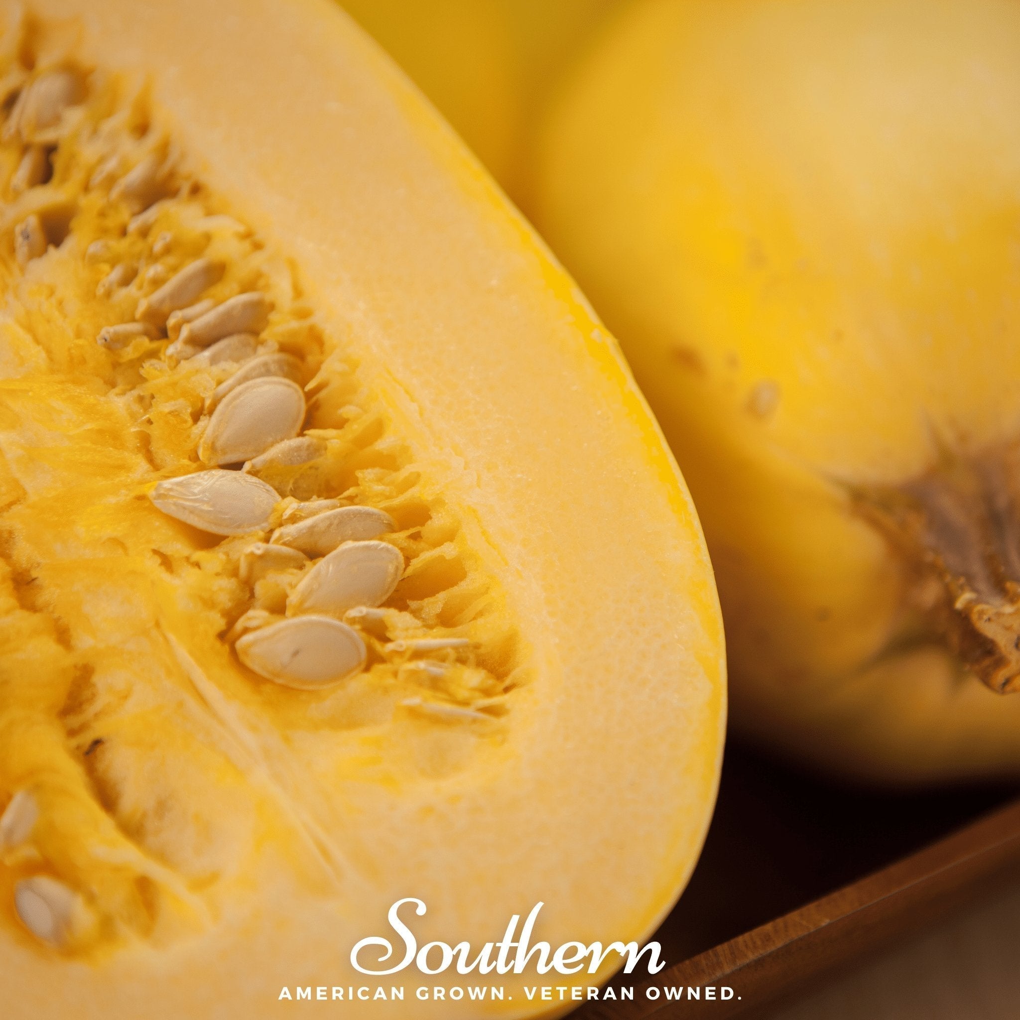 Spaghetti Winter Squash – 20 Seeds | | Wiccan Center