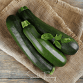Dark Green Zucchini Summer Squash – 25 Seeds | Seeds | Wiccan Center