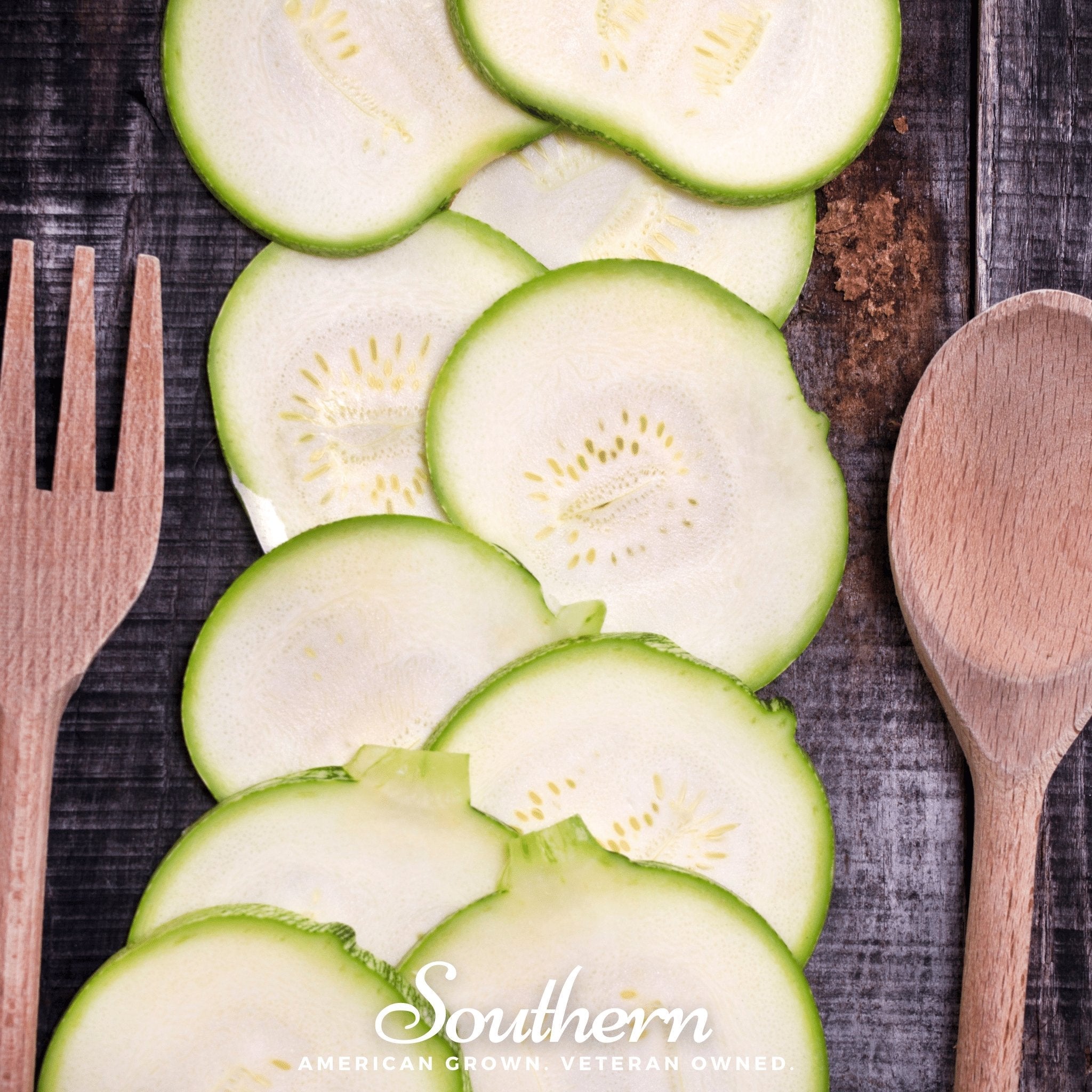 Zucchini Round Summer Squash – 25 Seeds | | Wiccan Center