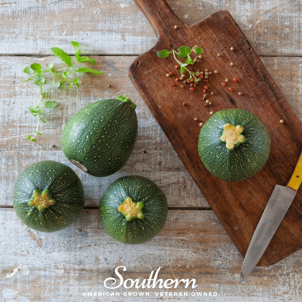 Zucchini Round Summer Squash – 25 Seeds | | Wiccan Center