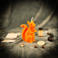 Squirrel of Abundance Candle Spell Kit - Prosperity & Wise Investments Magic | Candle Spell Kit | Wiccan Center