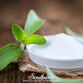Stevia – 50 Seeds | Seeds | Wiccan Center