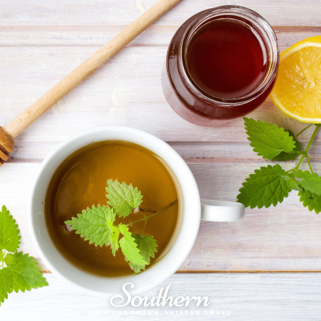 Stinging Nettle – 100 Seeds | | Wiccan Center