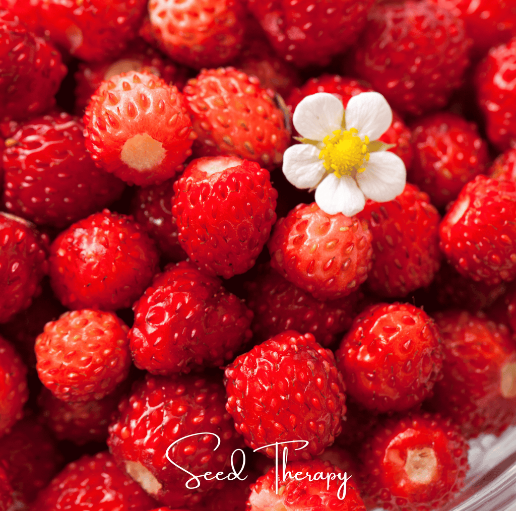 Wild Red Strawberry – 200 Seeds | | Wiccan Center