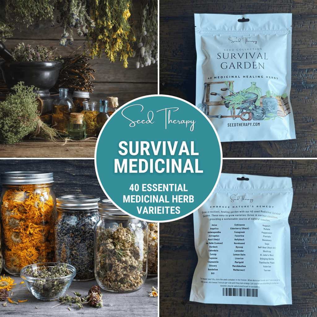 Survival Medicinal Herb Garden – 40 Essential Varieties | Seeds | Wiccan Center
