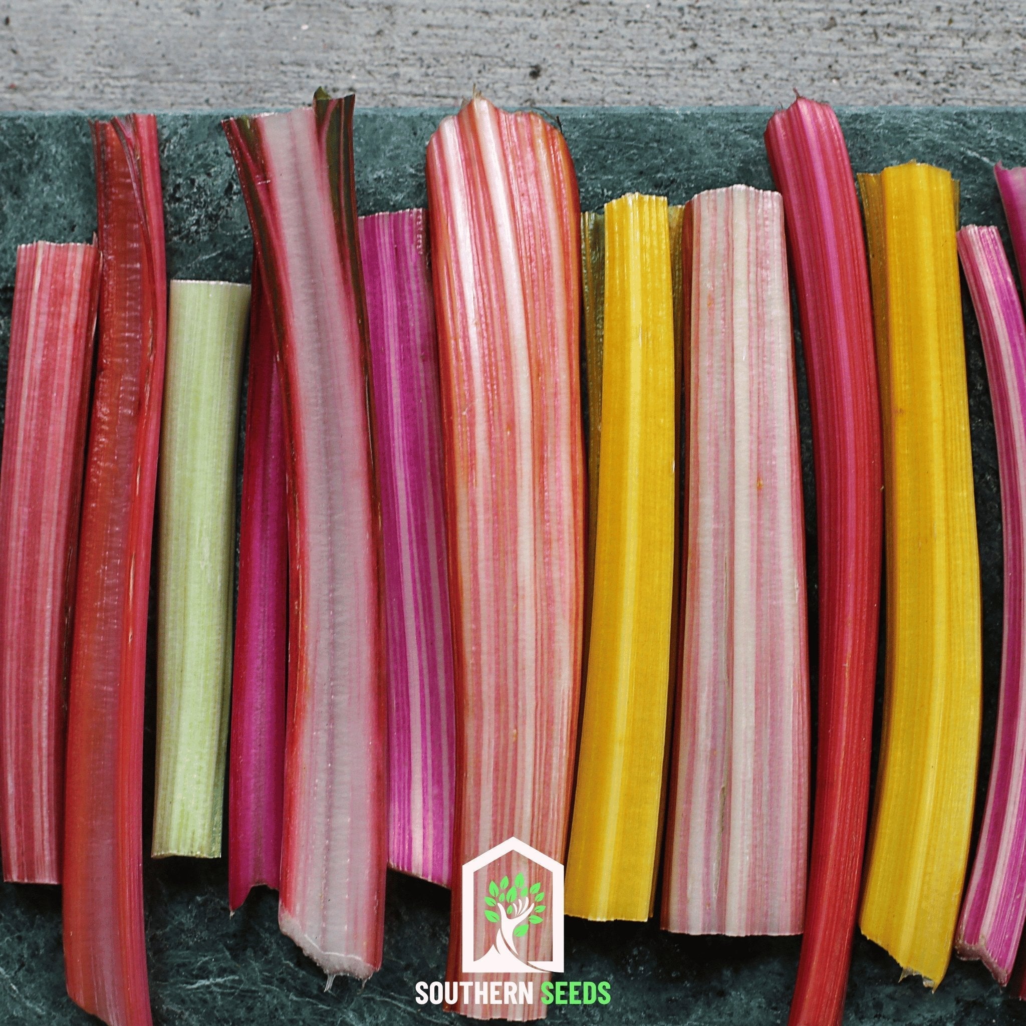 Rainbow Swiss Chard – 150 Seeds | Seeds | Wiccan Center