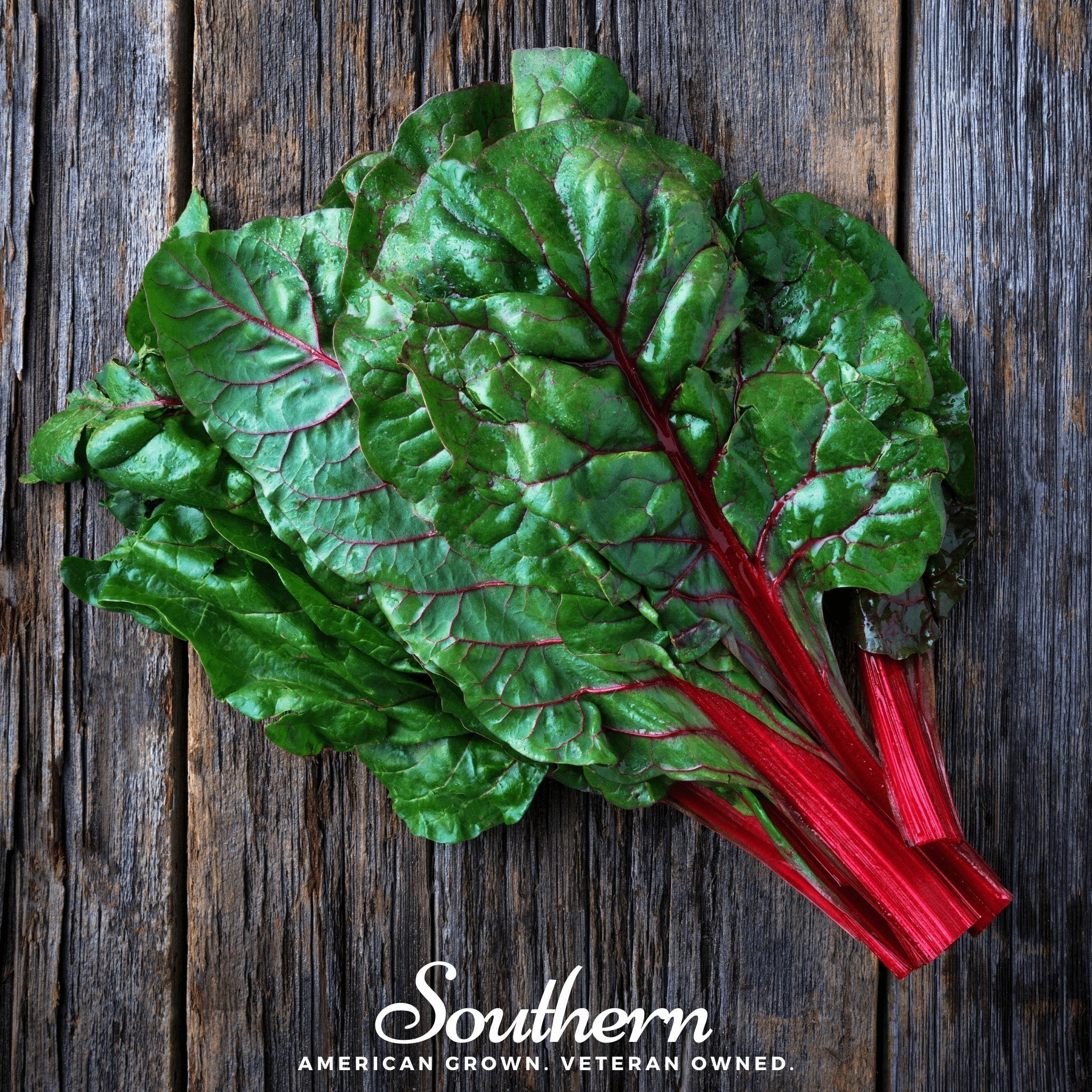 Ruby Red Swiss Chard – 100 Seeds | Seeds | Wiccan Center