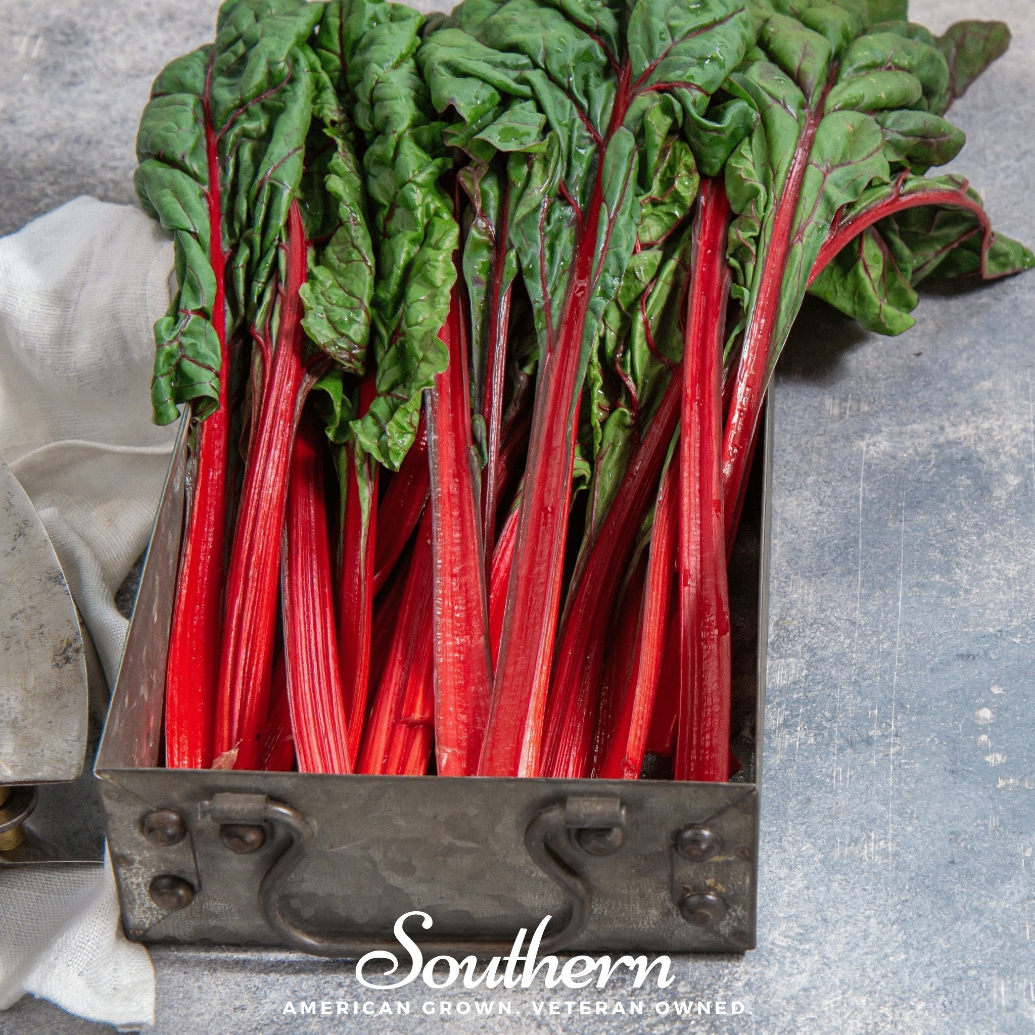 Ruby Red Swiss Chard – 100 Seeds | Seeds | Wiccan Center