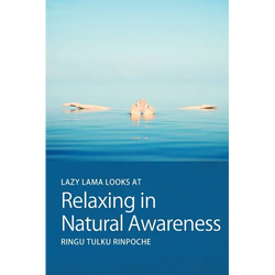Lazy Lama looks at Relaxing in Natural Awareness - Paperback | Books | Wiccan Center