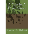 A Year In A Druid Grove: Celebrating the Seasonal Festivals on the Wheel of the Year - Paperback | Books | Wiccan Center