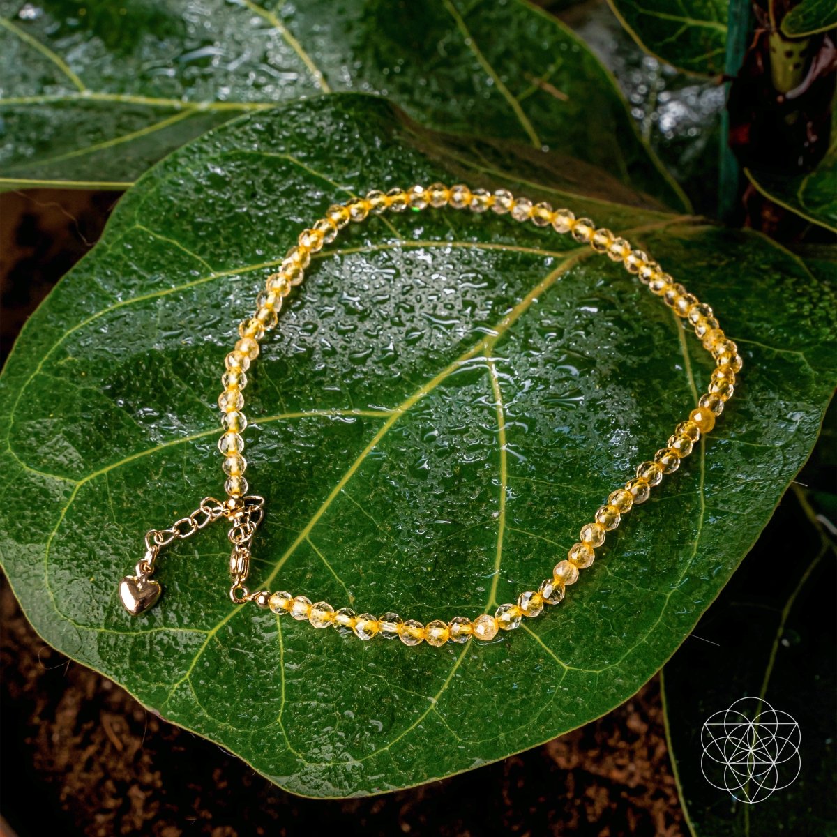 The Abundance Anklet | Anklet | Wiccan Center