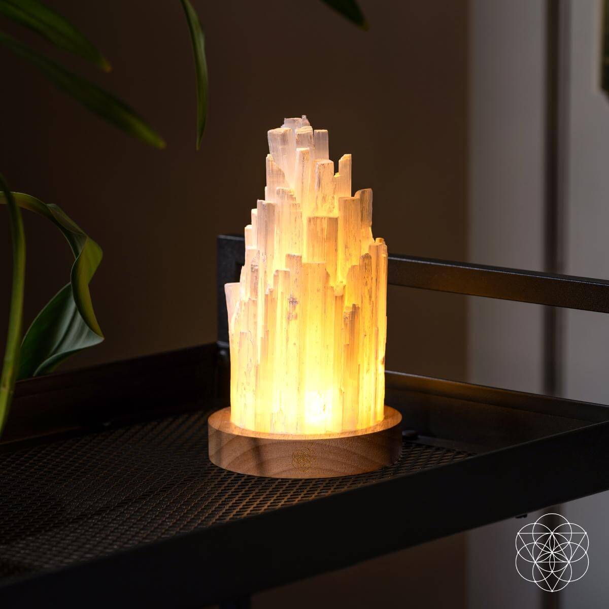 The Cleanse-All Selenite Lamp - 2 Pounds of Healing Power | Night Light | Wiccan Center