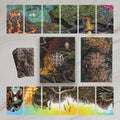 The Oracle of Many Paths | Deck | Wiccan Center