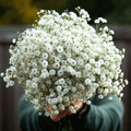 The Pearl Yarrow – 100 Seeds | Seeds | Wiccan Center