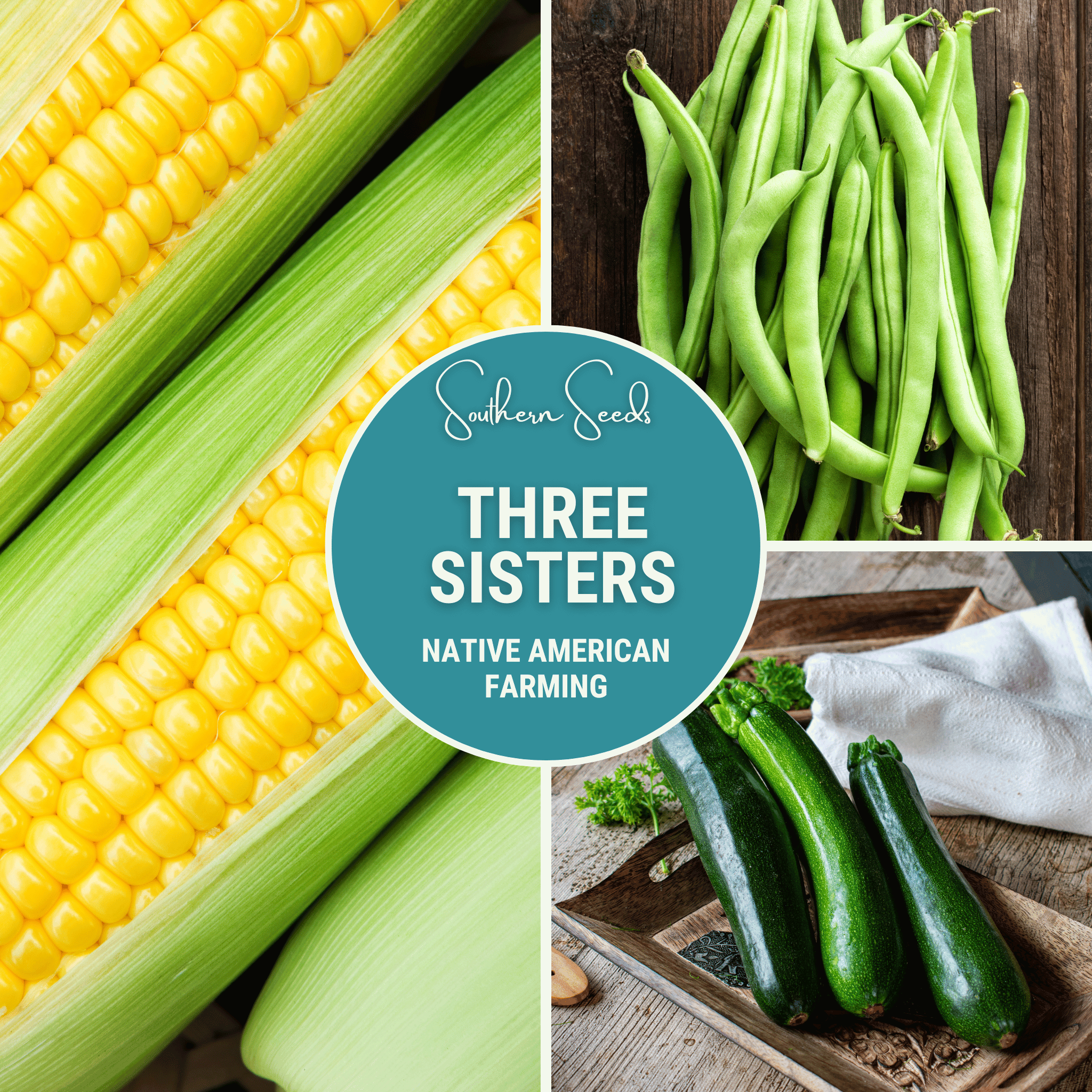 Three Sisters Seed Collection – Native American Farming – Corn, Bean, Squash | Seeds | Wiccan Center