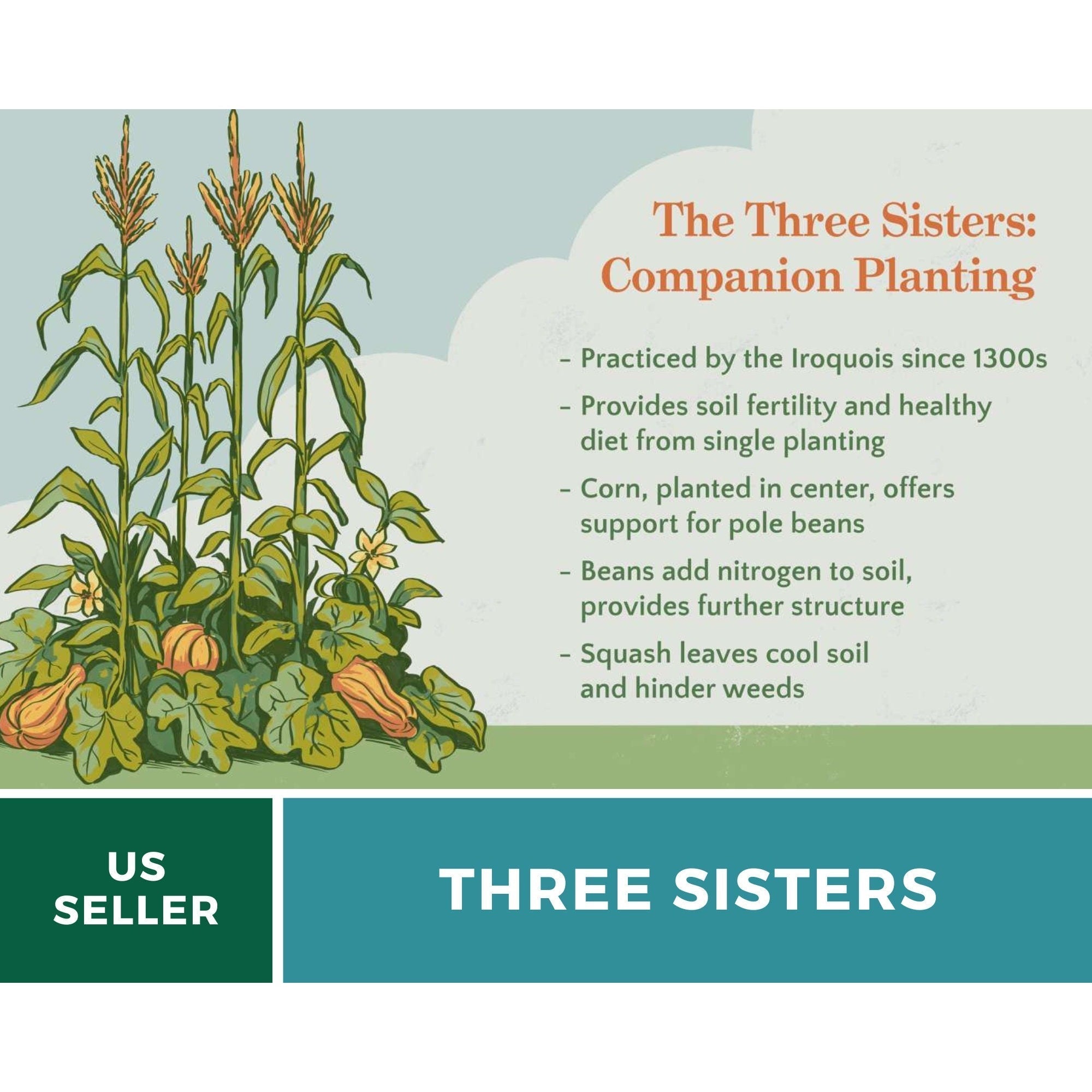 Three Sisters Seed Collection – Native American Farming – Corn, Bean, Squash | Seeds | Wiccan Center