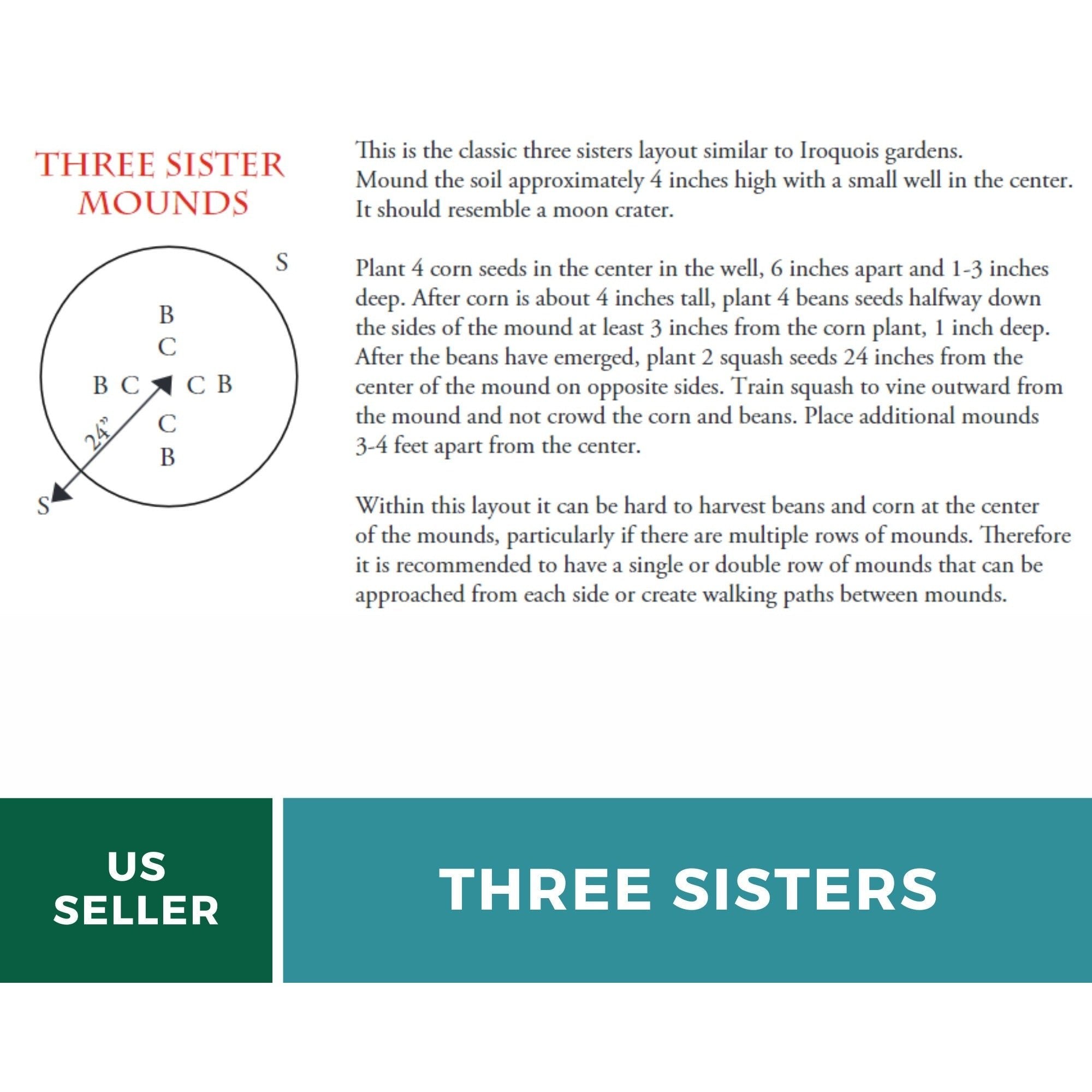 Three Sisters Seed Collection – Native American Farming – Corn, Bean, Squash | Seeds | Wiccan Center