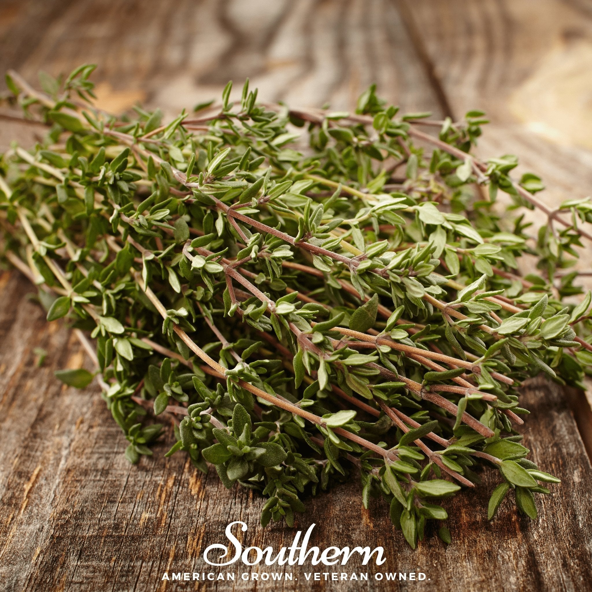 Common Thyme – 250 Seeds | Seeds | Wiccan Center