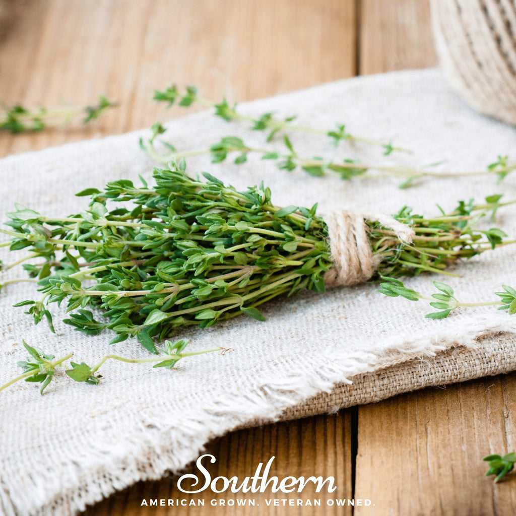 Common Thyme – 250 Seeds | Seeds | Wiccan Center