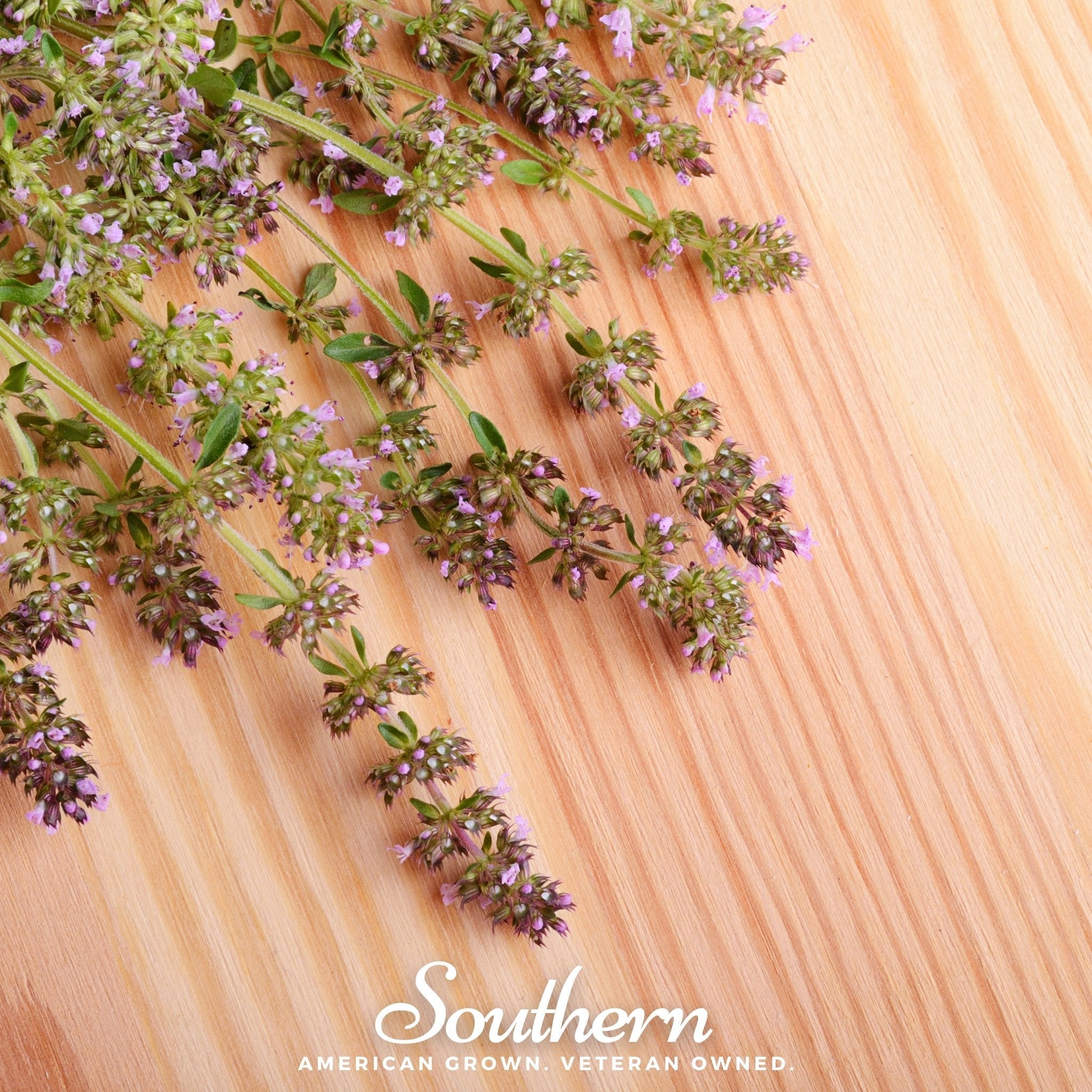 Wild Thyme – 250 Seeds | Seeds | Wiccan Center